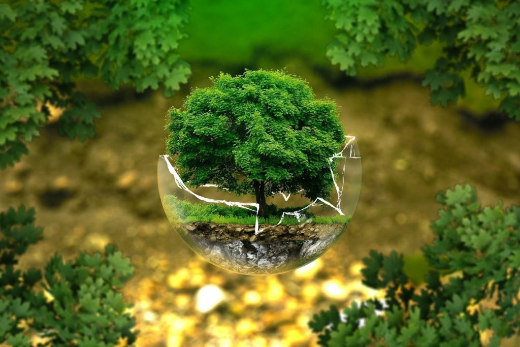 Eco-friendly Planters
